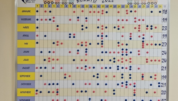 Lõuna-Eesti haigla sünnitusosakonna aasta lõpetas tüdrukutirts ning uut alustas poisslaps